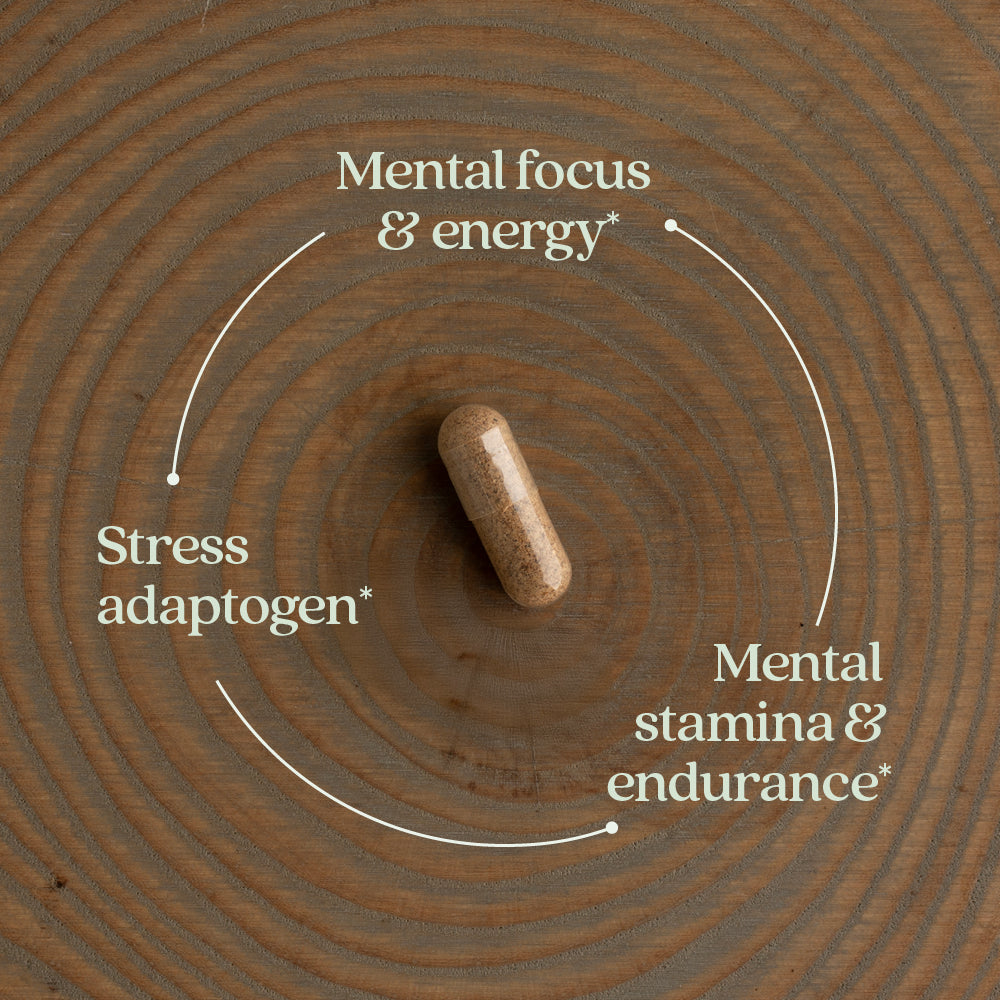 Mental Focus & Energy, Stress adaptogen, mental stamina & endurance