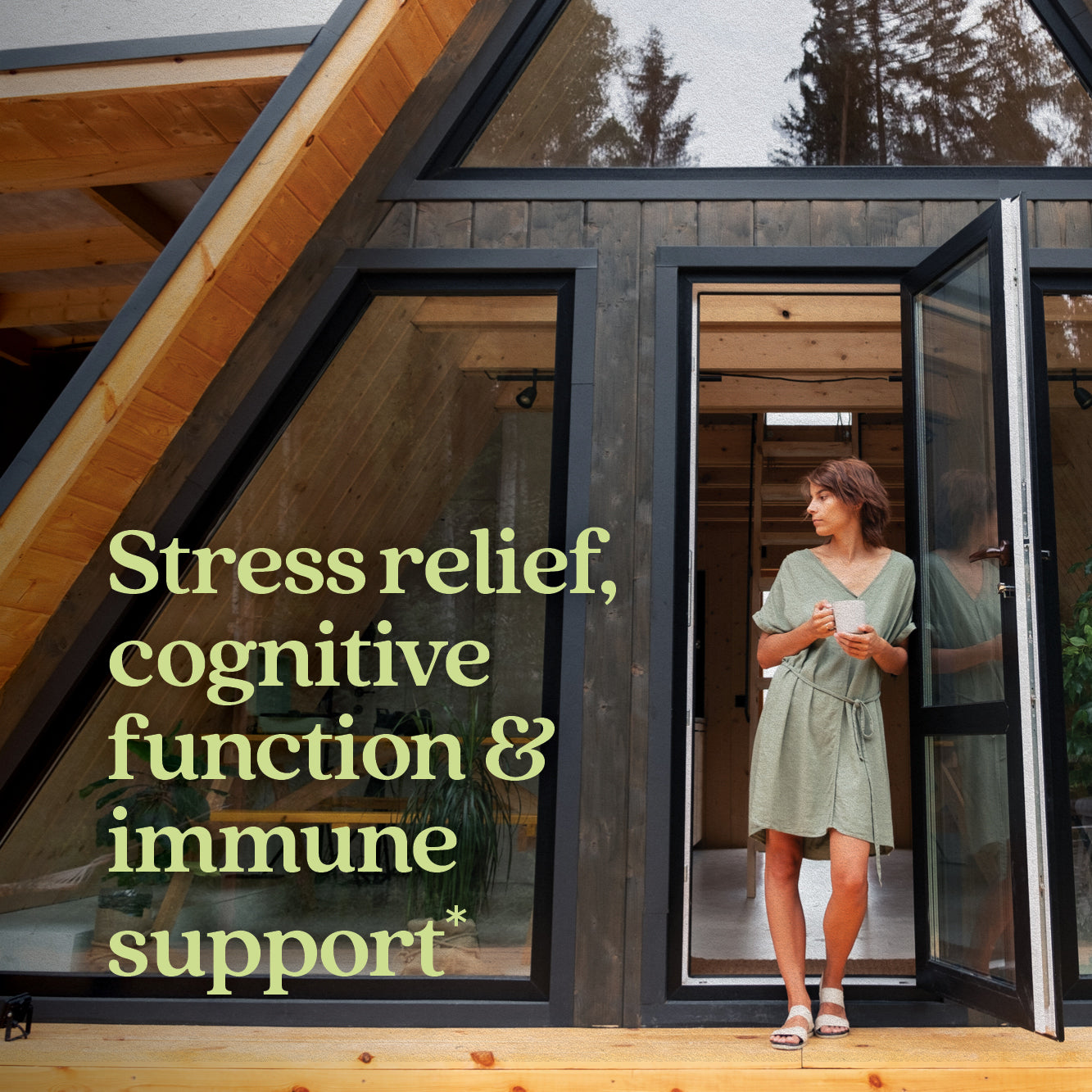 Stress relief, cognitive function & immune support*