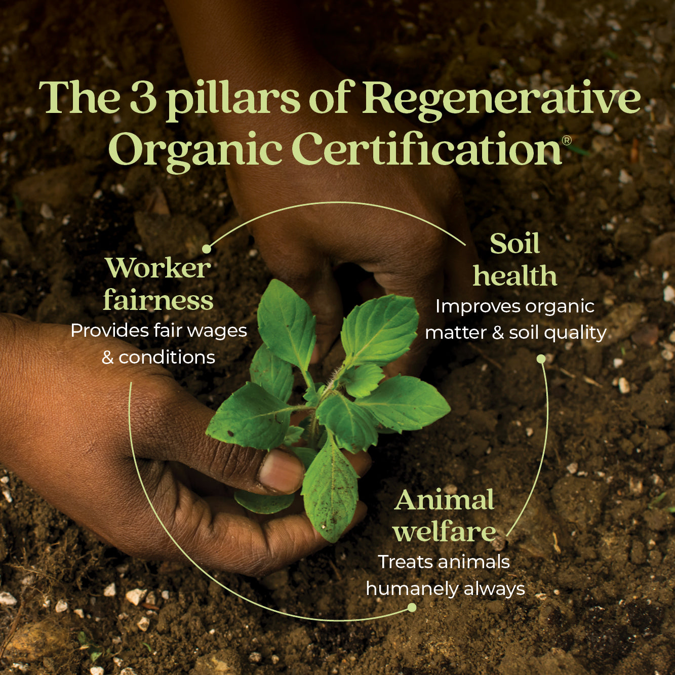 The 3 pillars of Regenerative Organic Certification. Worker fairness Provides fair wages & conditions. Soil health Improves organic matter & soil quality, Animal welfare Treats animals humanely always