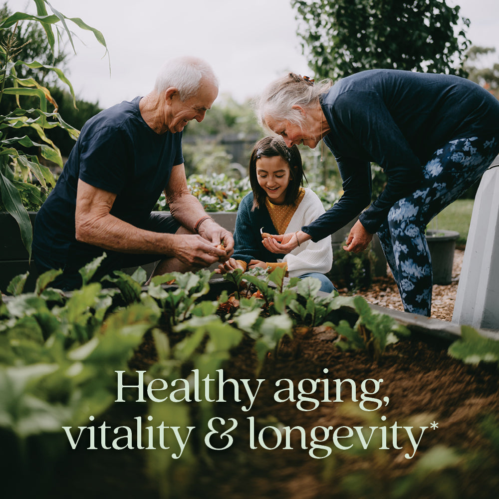Healthy aging, vitality & longevity