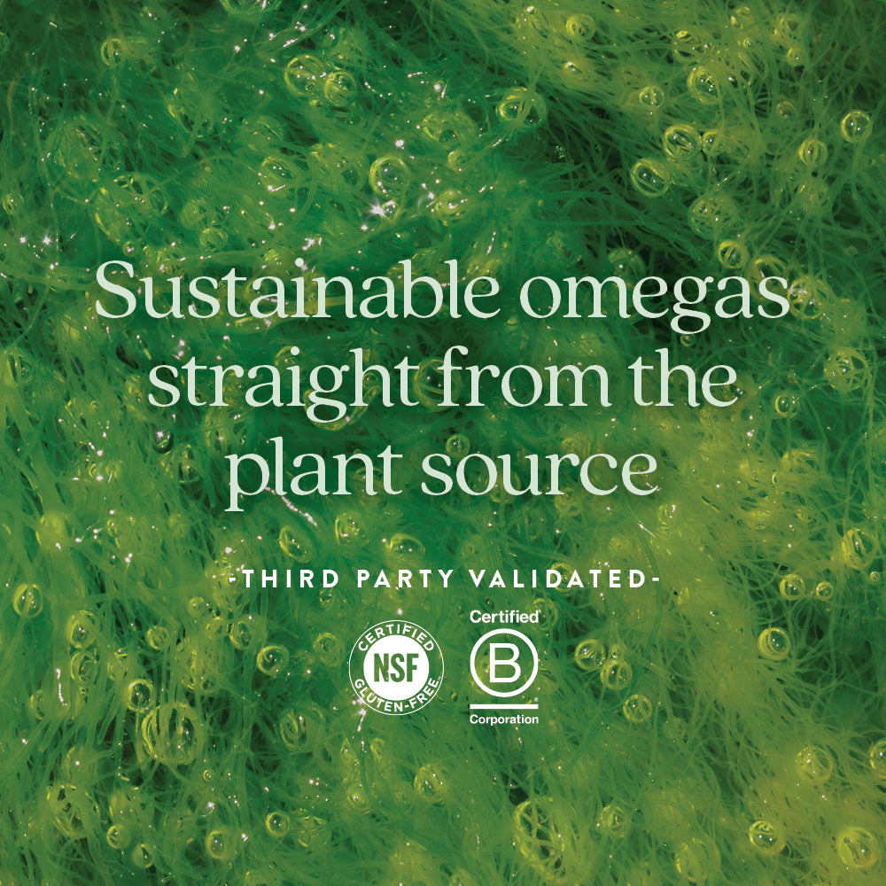 NSF Certified Gluten-Free, Certified B Corporation