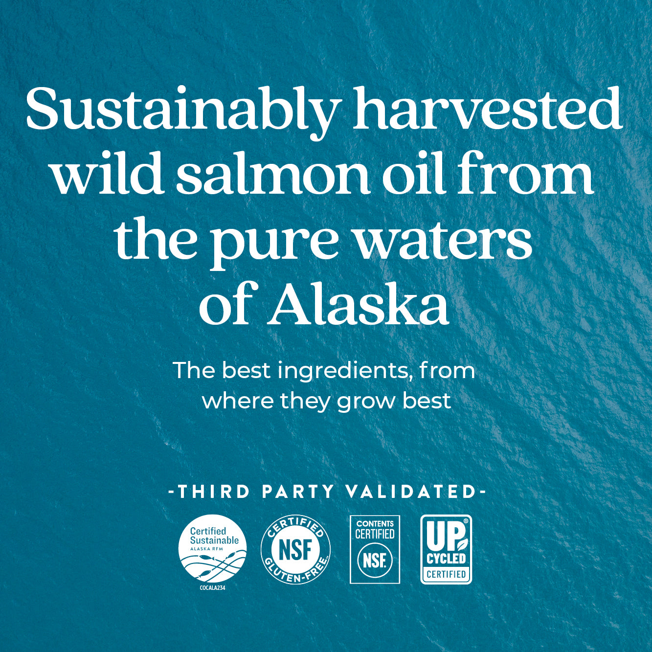Wholemega™ Fish Oil for Moms
