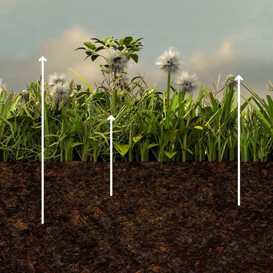 Building Soil