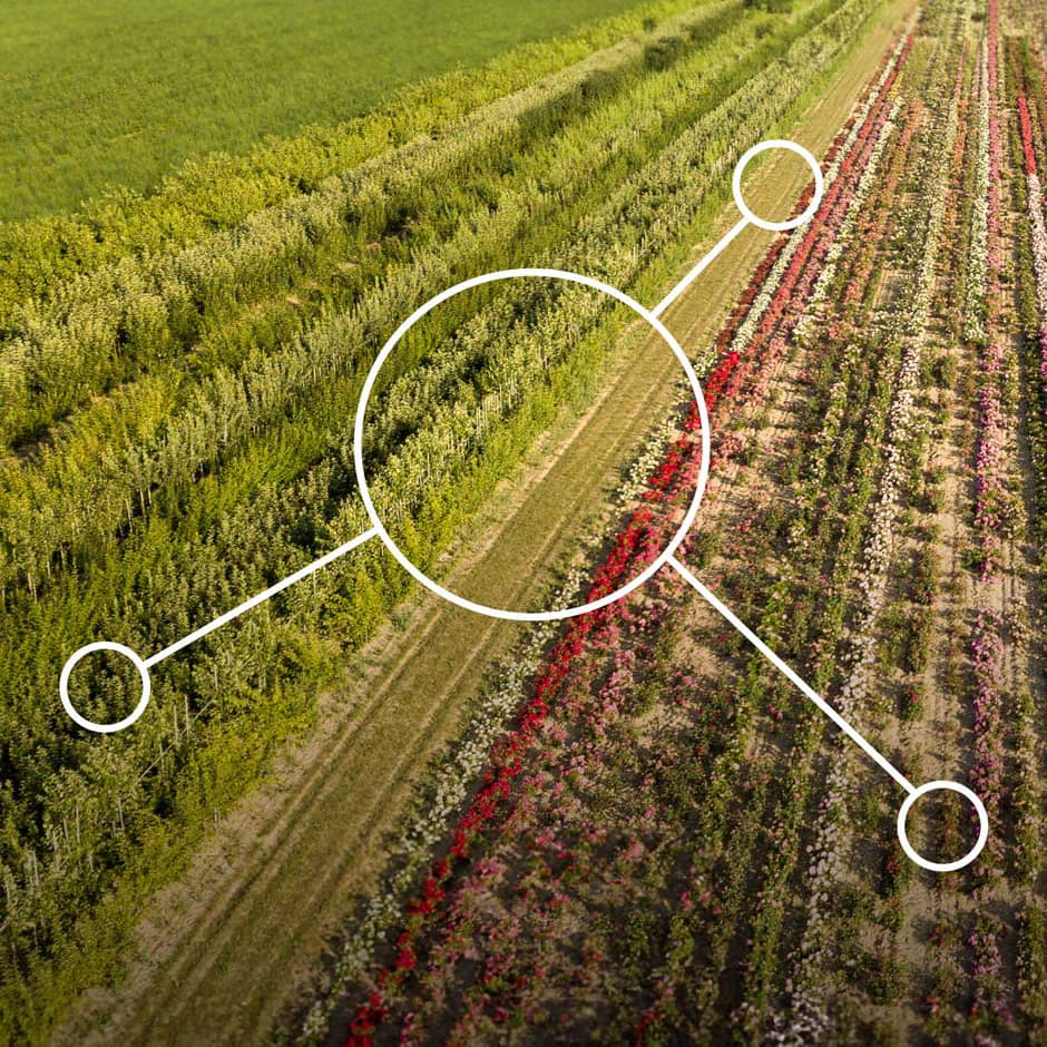 Enhancing Biodiversity