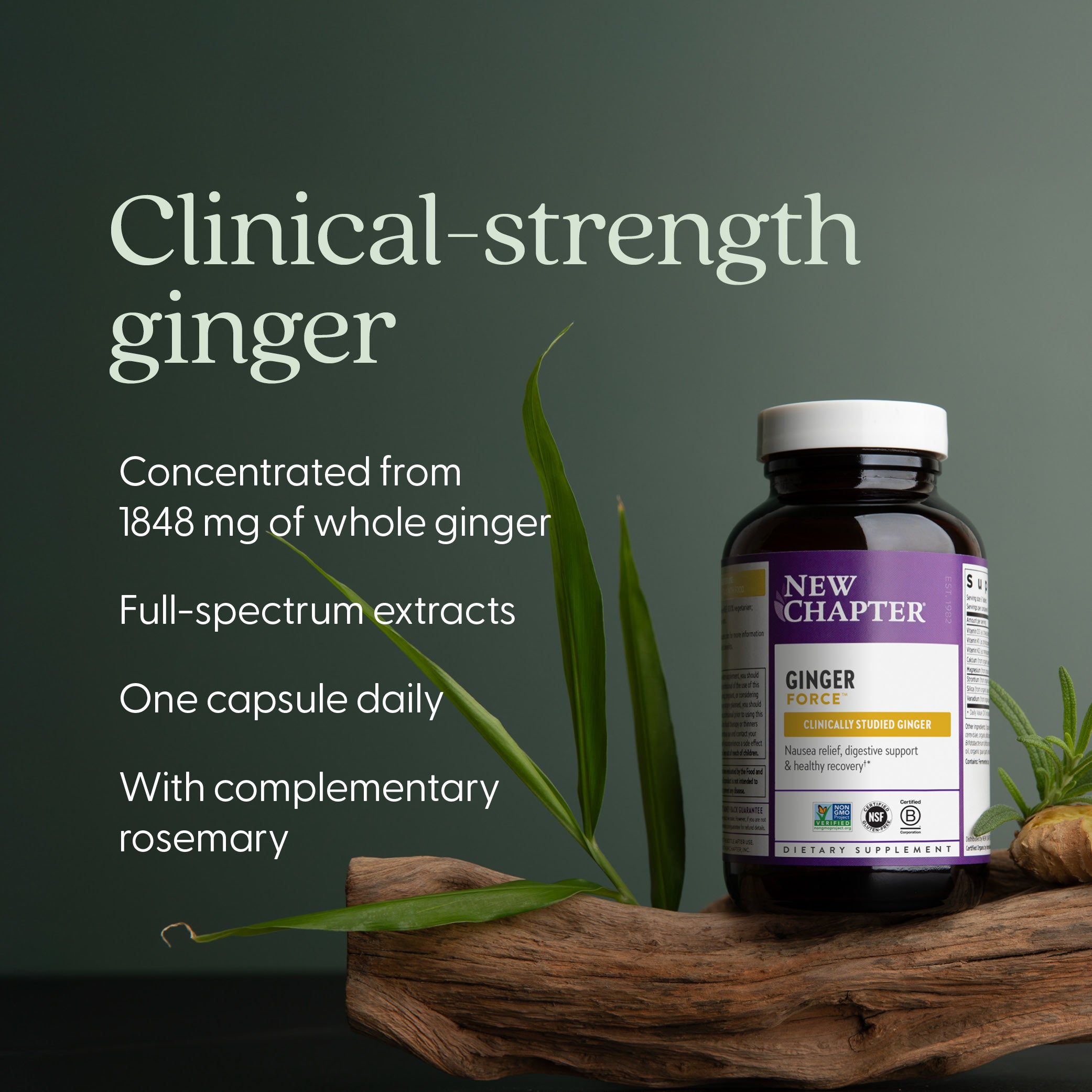 Clinical-strength ginger
