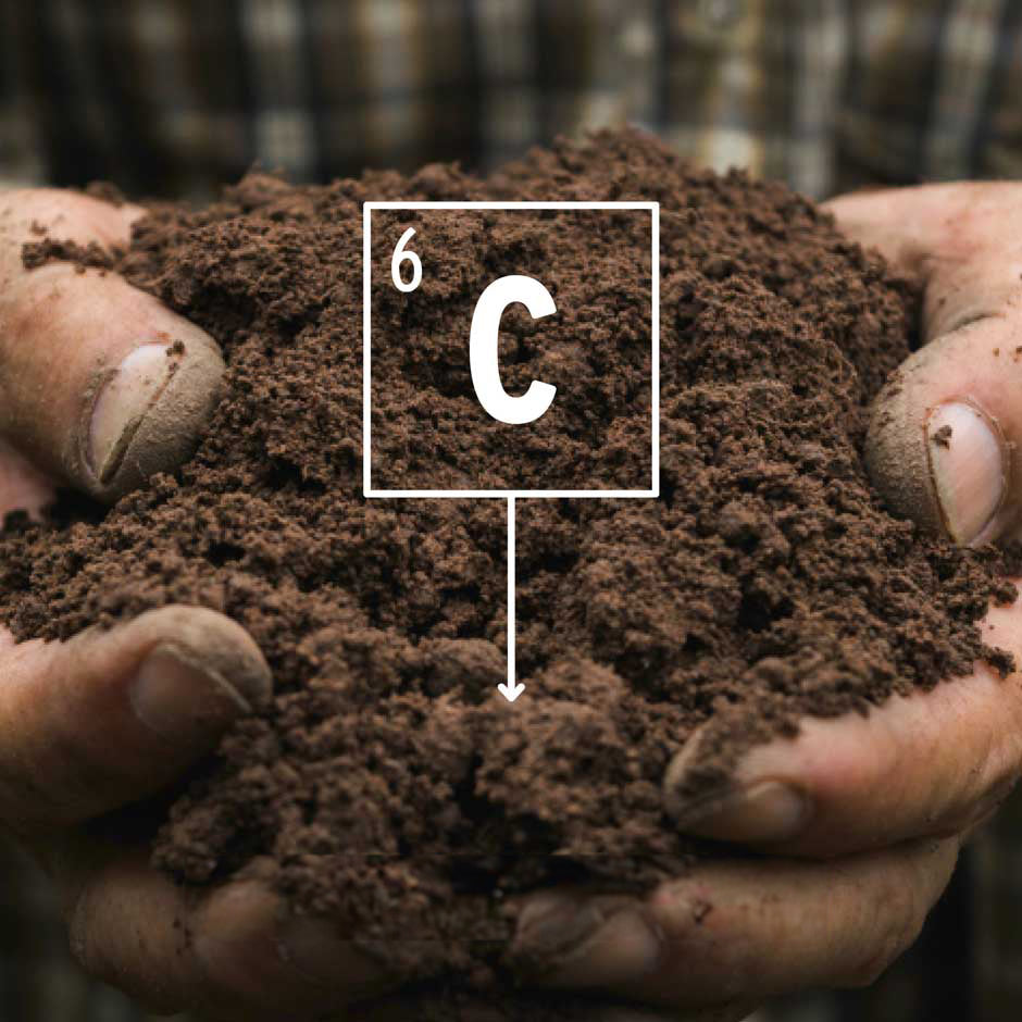 Trapping Carbon