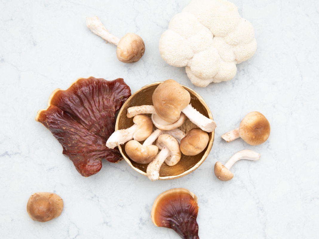Mushroom Supplement Benefits: Should You Take One?