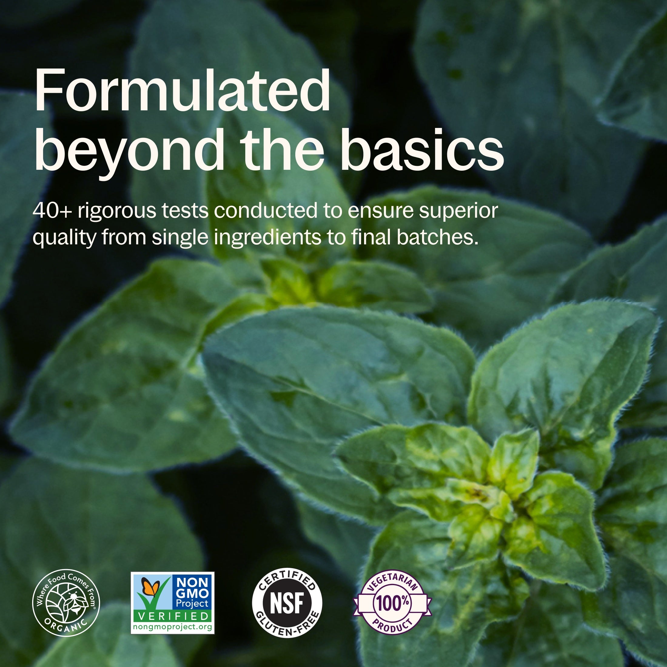 Formulated beyond the basics, 40+ rigorous tests conducted to ensure superior quality from single ingredients to final batches. Where Food Comes From Organic Certified, Non-GMO Project Verified, NSF Certified Gluten-Free, 100% Vegetarian