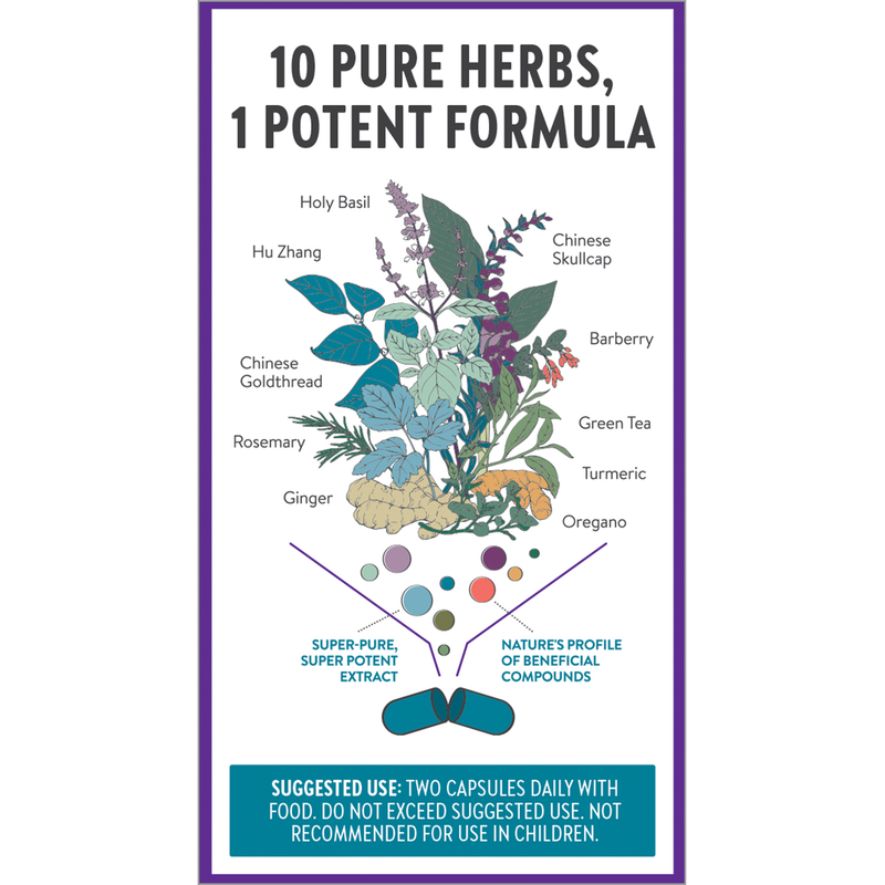 Zyflamend™ Herbal Pain Relief Supplement New Chapter