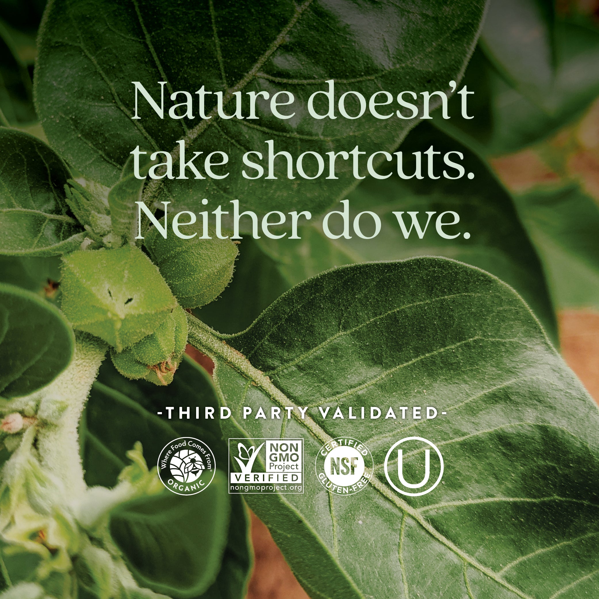 Third party validated. Where Food Comes From Organic. Non-GMO Project Verified. Certified NSF Gluten-Free. Kosher