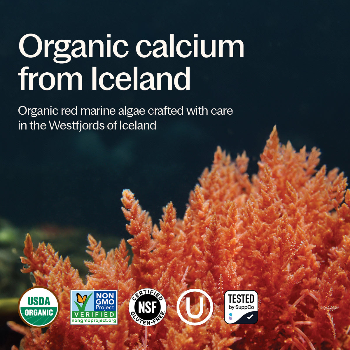 USDA Organic, Non-GMO Project Verified, NSF Certified Gluten-Free, Kosher Certified , Tested by SuppCo