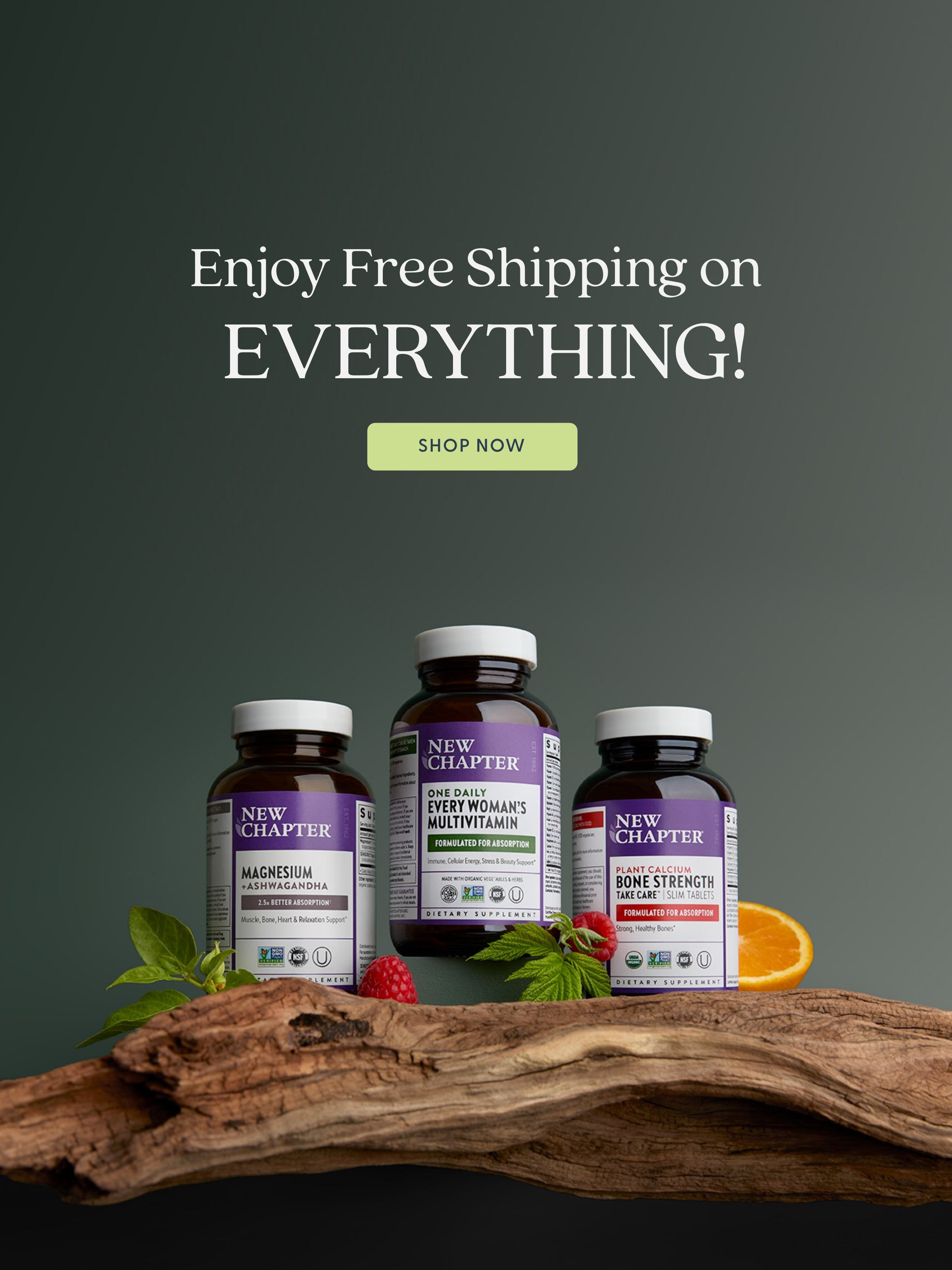 Enjoy Free Shipping on Everything! SHOP NOW