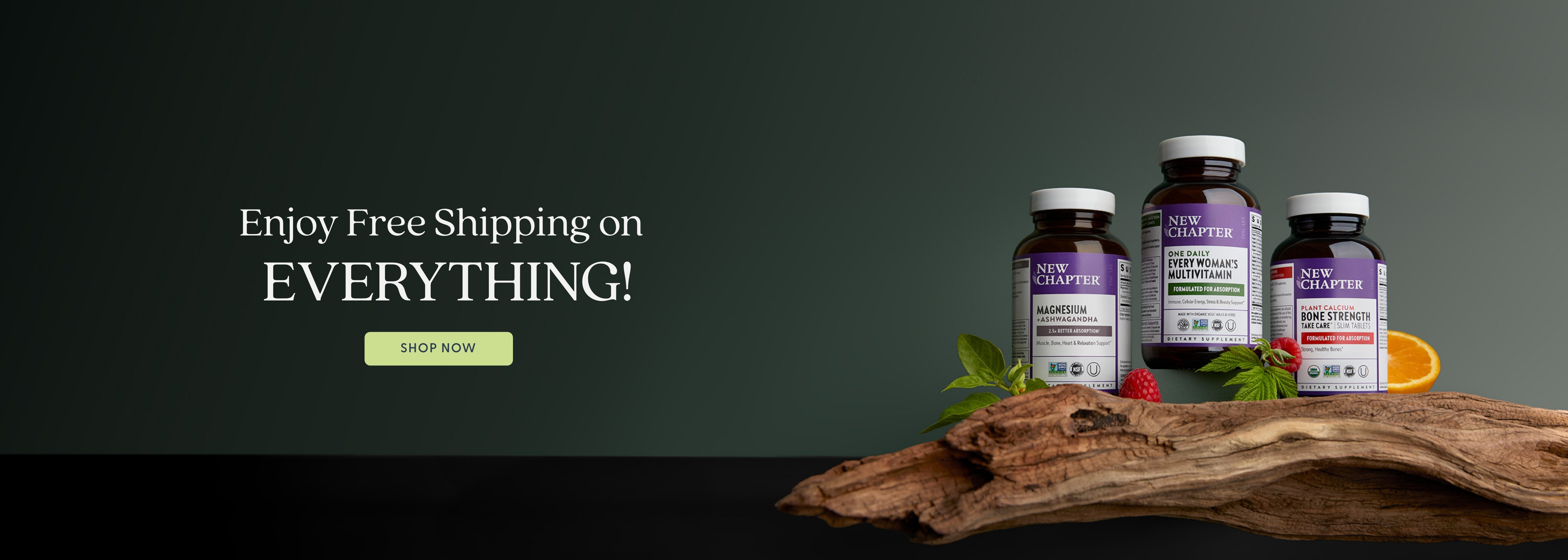 Enjoy Free Shipping on Everything! SHOP NOW