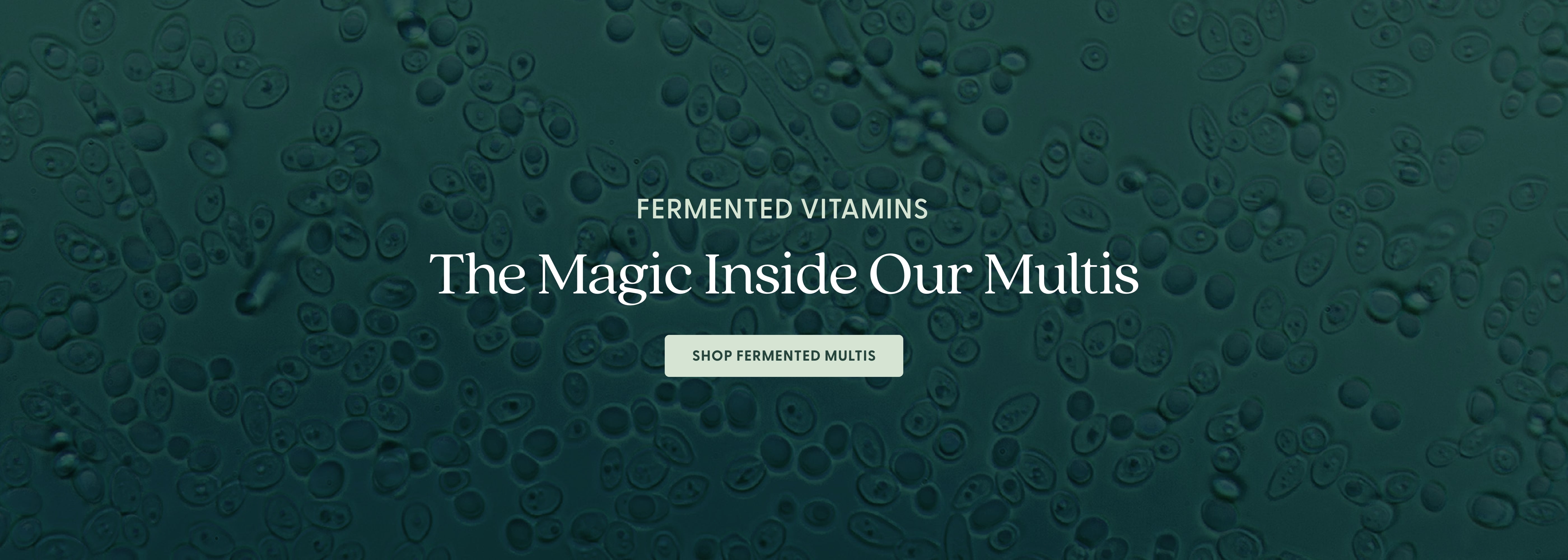 The Magic Inside of Our Multis - Shop Fermented Multis