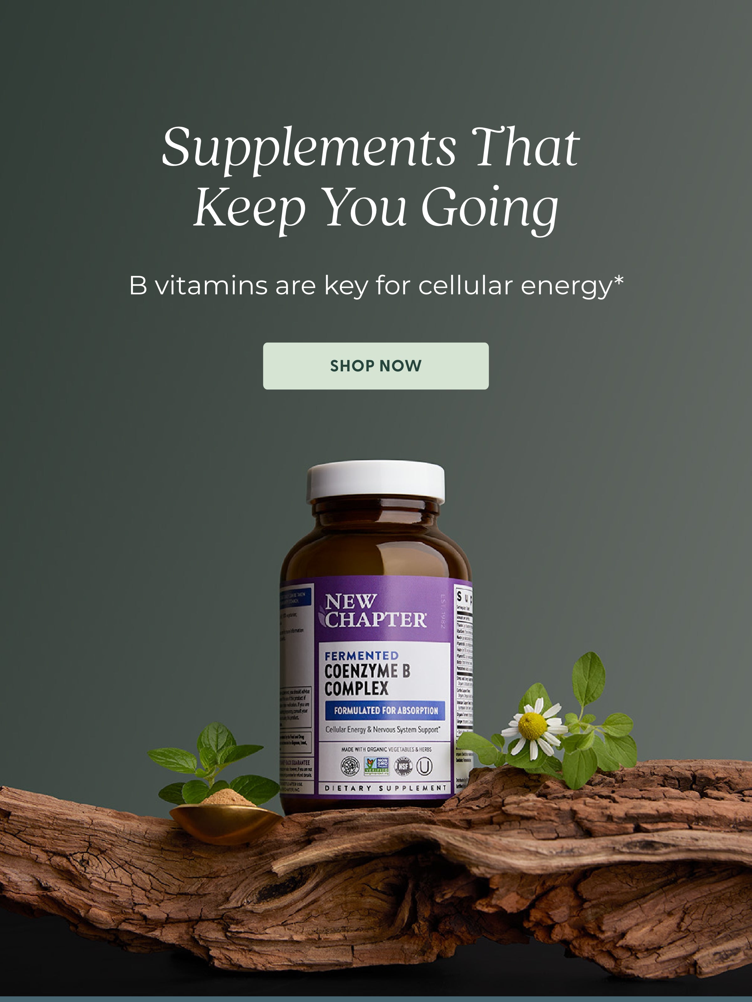 B Vitamins are key for cellular energy