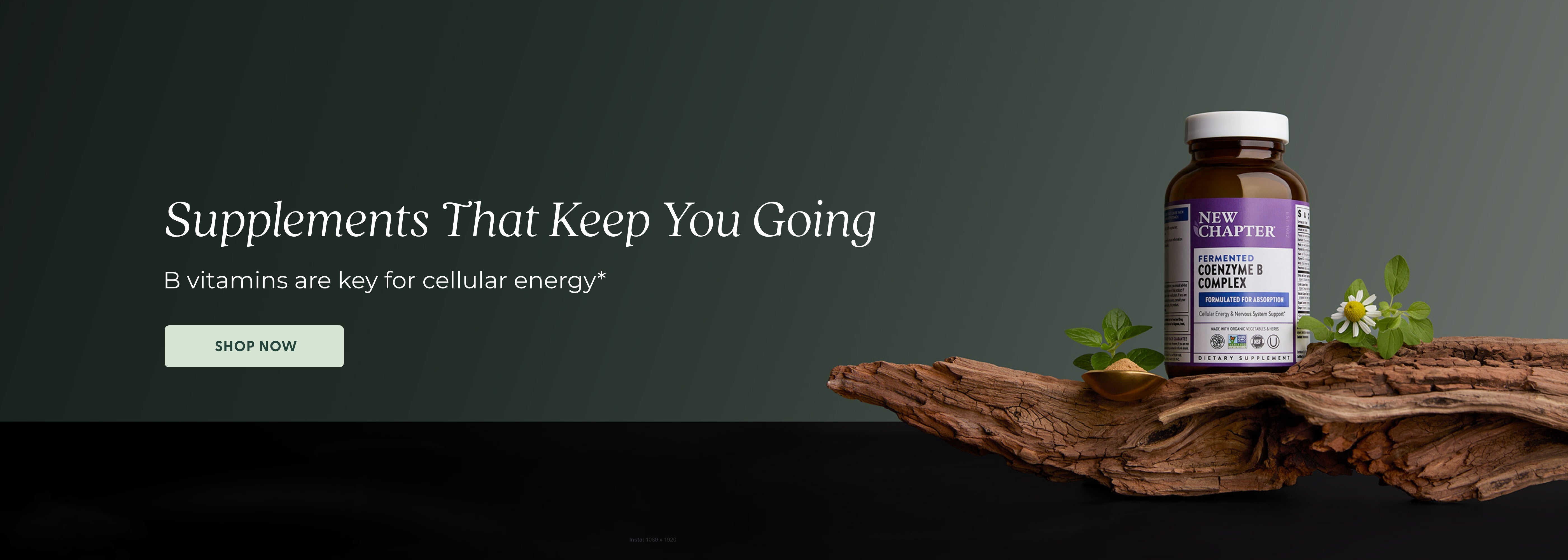 B Vitamins are key for cellular energy