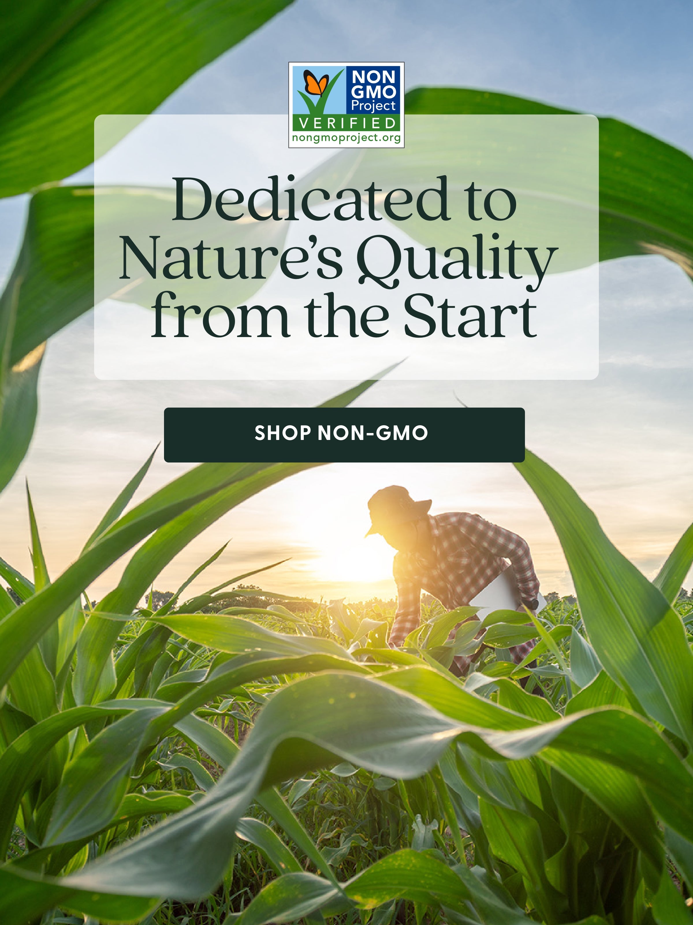 Non-GMO Project Verified - Dedicated to nature's Quality from the Start 