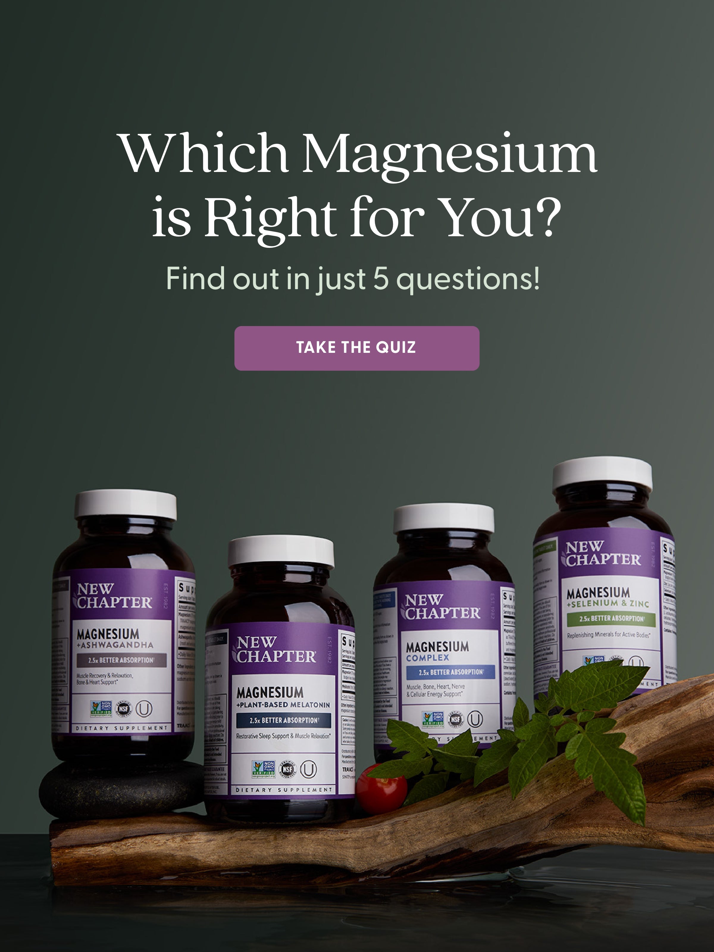 Which Magnesium is Right for You? Find out in just 5 questions! Take the Quiz