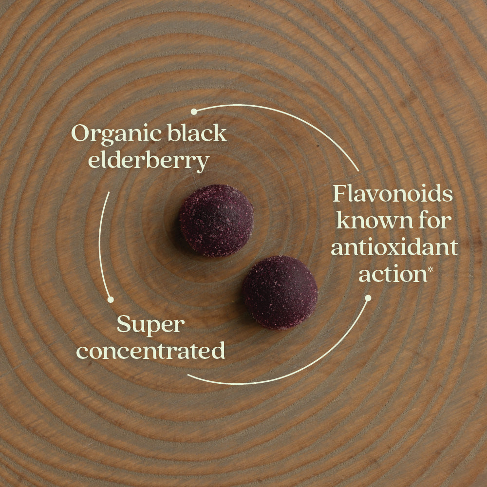 Organic black elderberry, Flavonoids known for antioxidants action, super concentrated