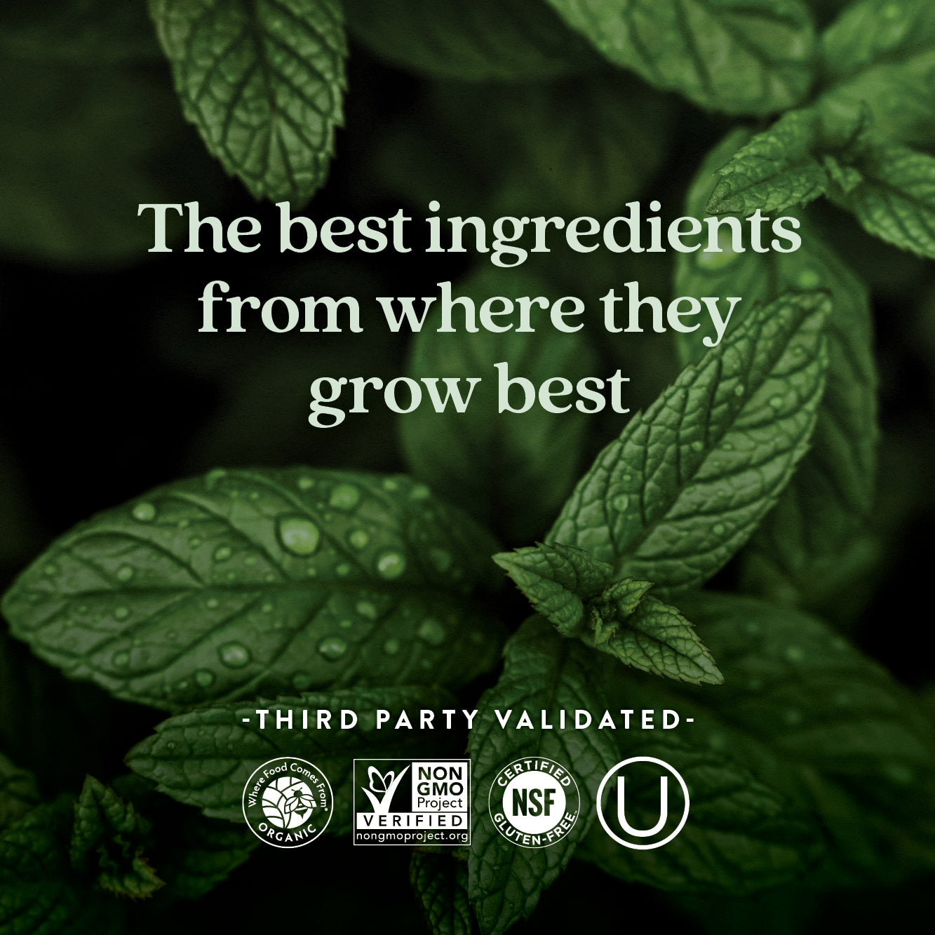 The best ingredients from where they grow best