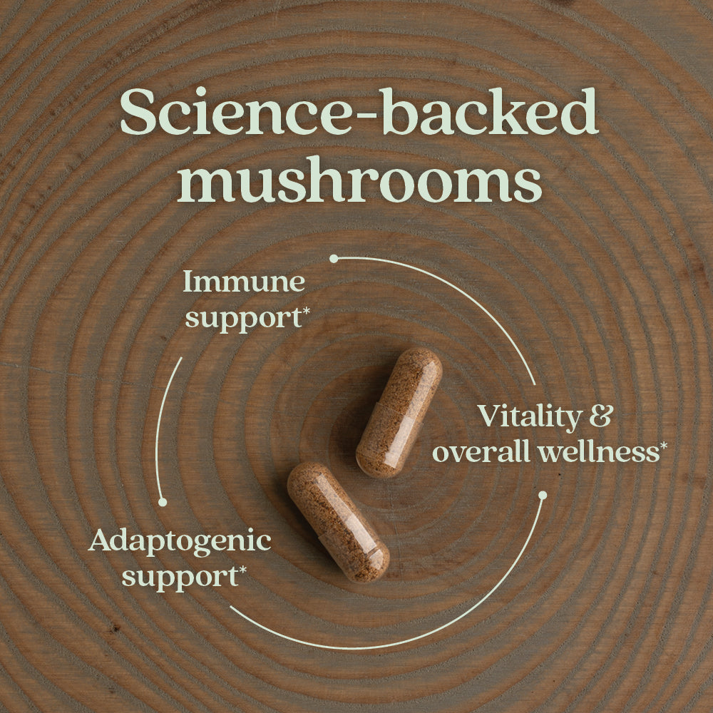 Immune Support: Reishi & Shiitake Mushroom Blend