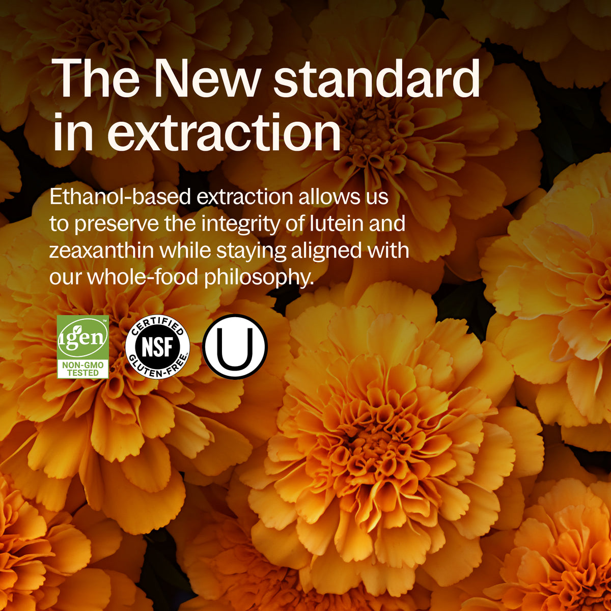 The New standard in extraction Ethanol-based extraction allows us to preserve the integrity of lutein and zeaxanthin while staying aligned with our whole-food philosophy, igen Non-GMO Tested, NSF Certified Gluten-Free, Kosher Certified