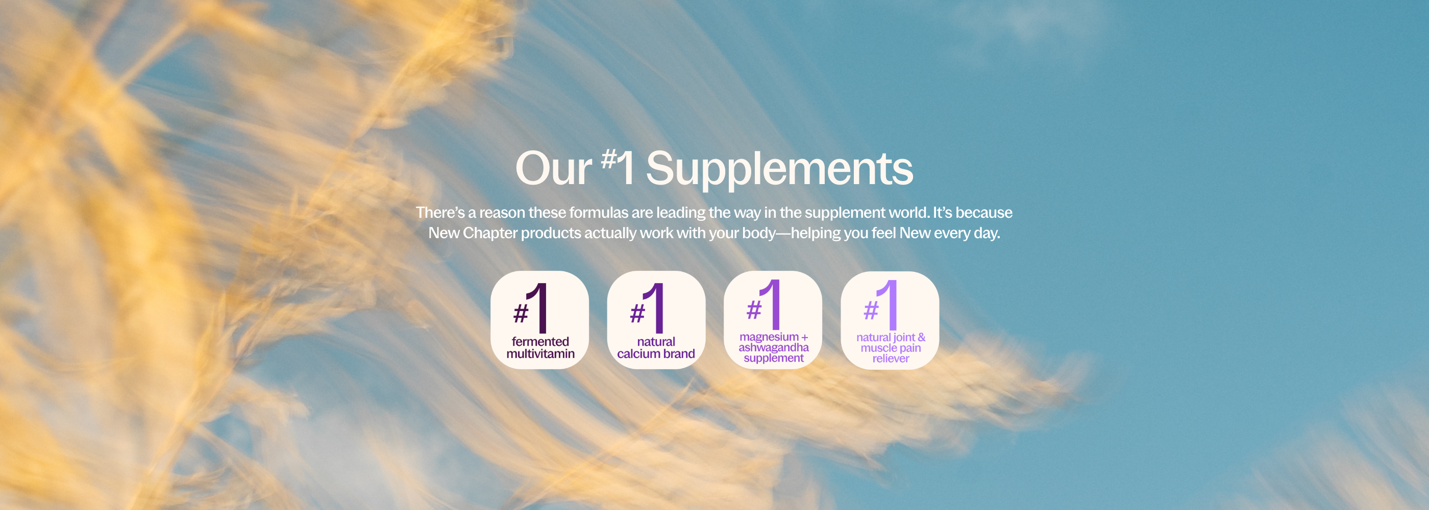 Our #1 Supplements. There’s a reason these formulas are leading the way in the supplement world. It’s because New Chapter products actually work—helping you feel New in your body every day.  #1 fermented #1 natural calcium brand #1 magnesium ashwagandha #1 natural join & muscle pain reliever