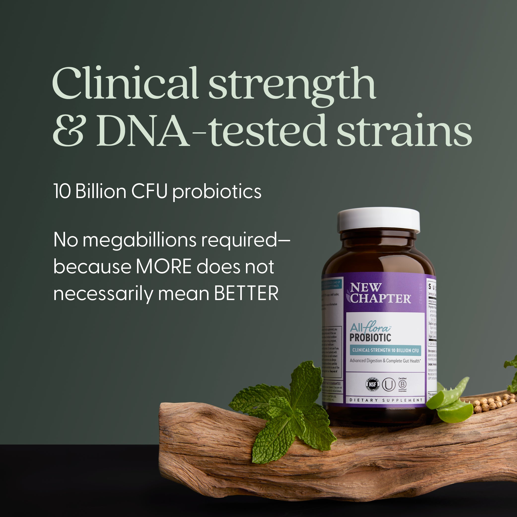 All-Flora™ Probiotic | Pre + Post + Probiotic Supplement | New Chapter