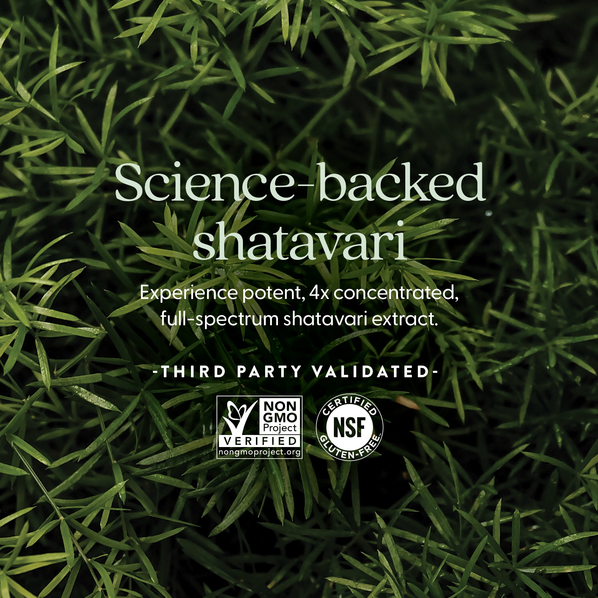 Non-GMO Project Verified, NSF Certified Gluten-Free