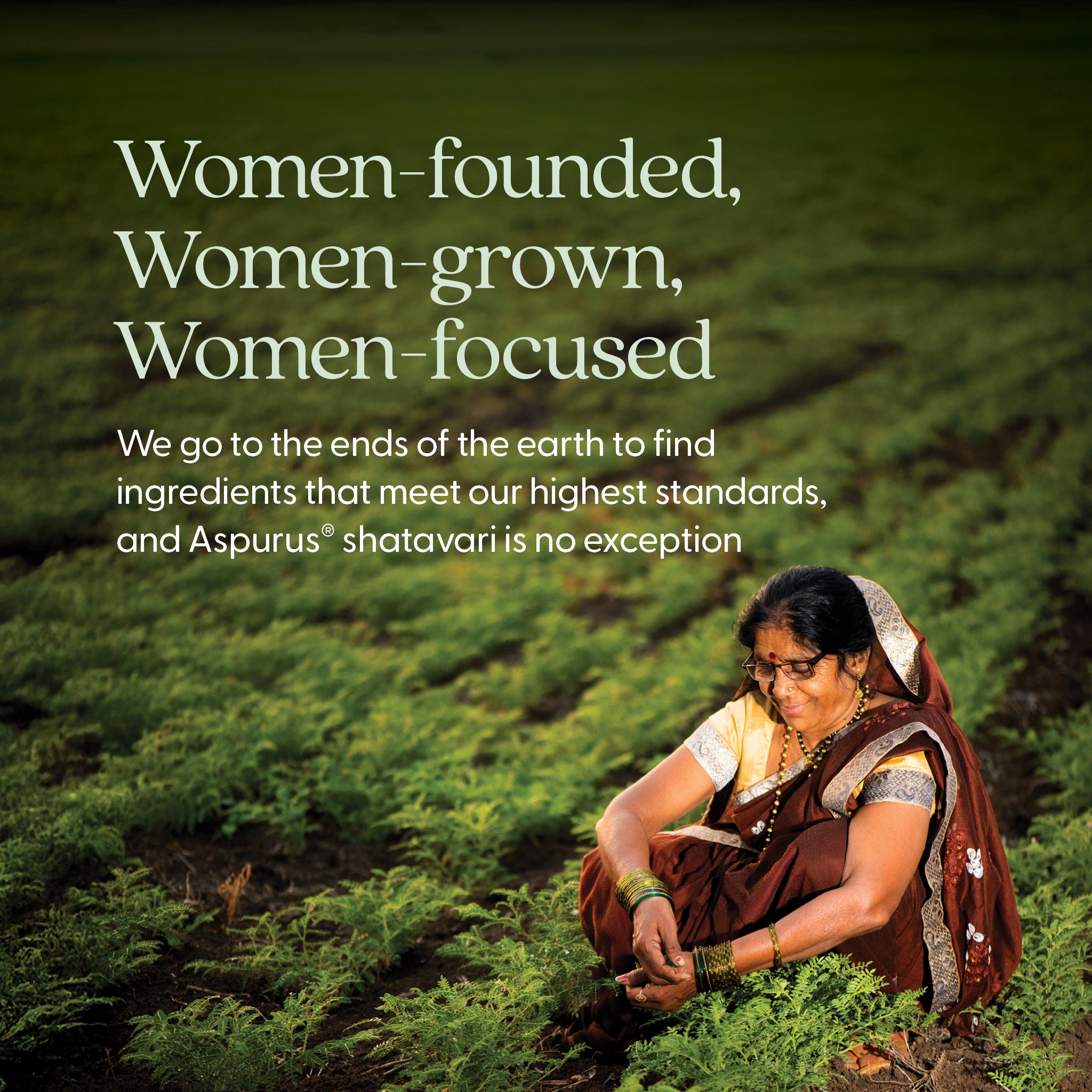 Women-founded, Women-grown, Women-focused - We go to the ends of the earth to find ingredients that meet our highest standards, and Aspurus shatavari is no exception