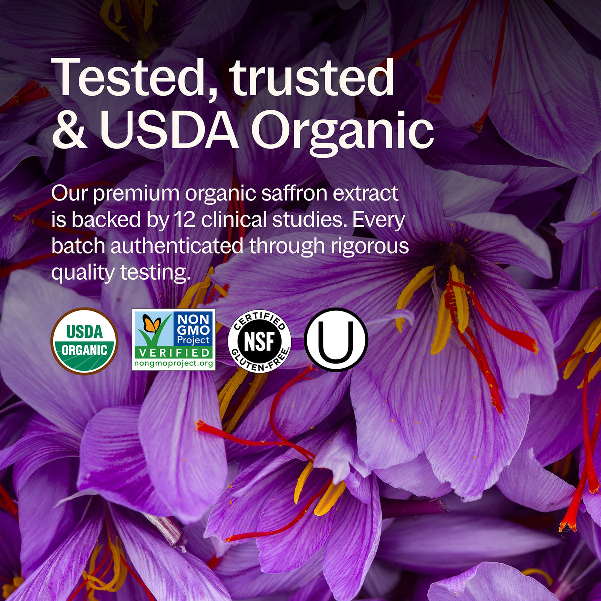 Tested, trusted & USDA Organic, Our premium organic saffron extract is backed by 12 clinical studies. Every batch authenticated through rigorous quality testing. USDA Organic, Non-GMO Project Verified, NSF Certified Gluten-Free, Kosher Certified