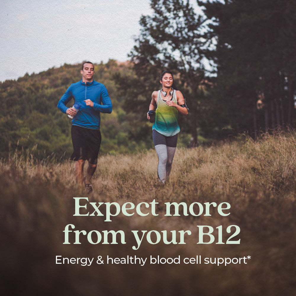 Fermented Vitamin B12