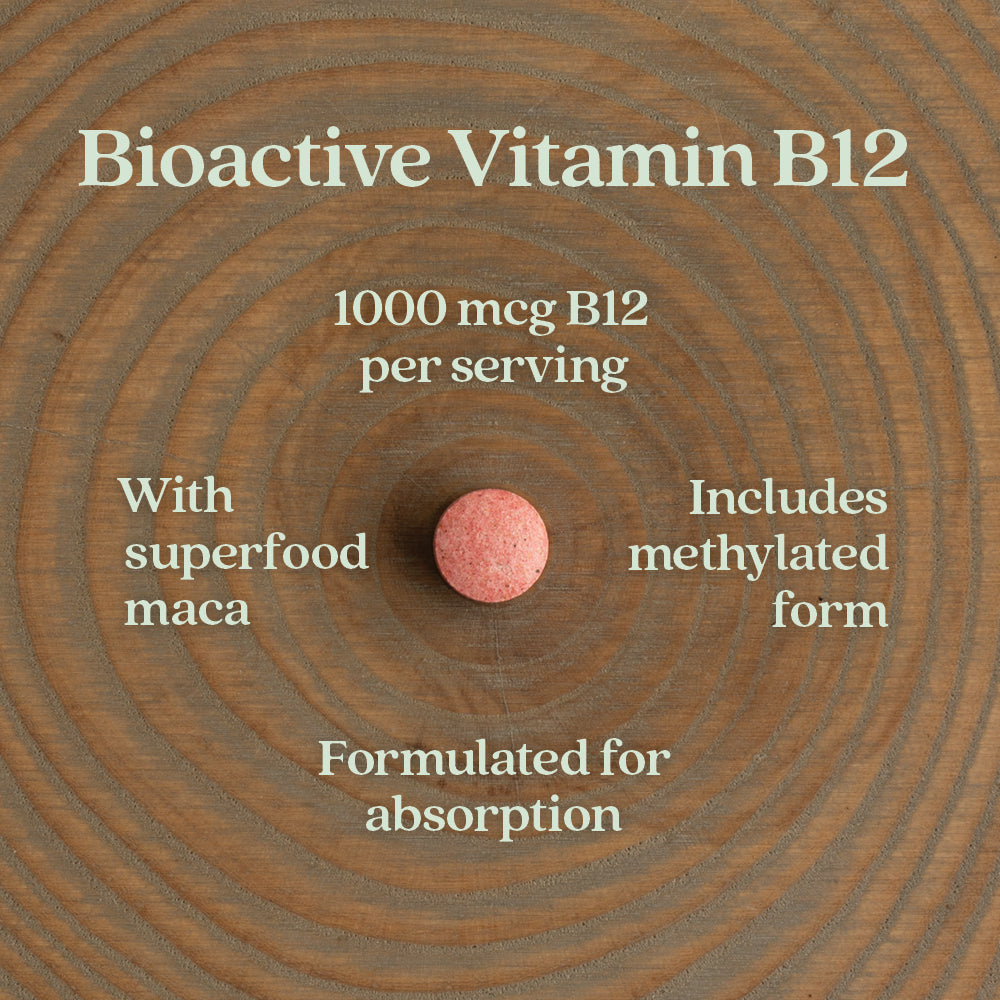 Fermented Vitamin B12