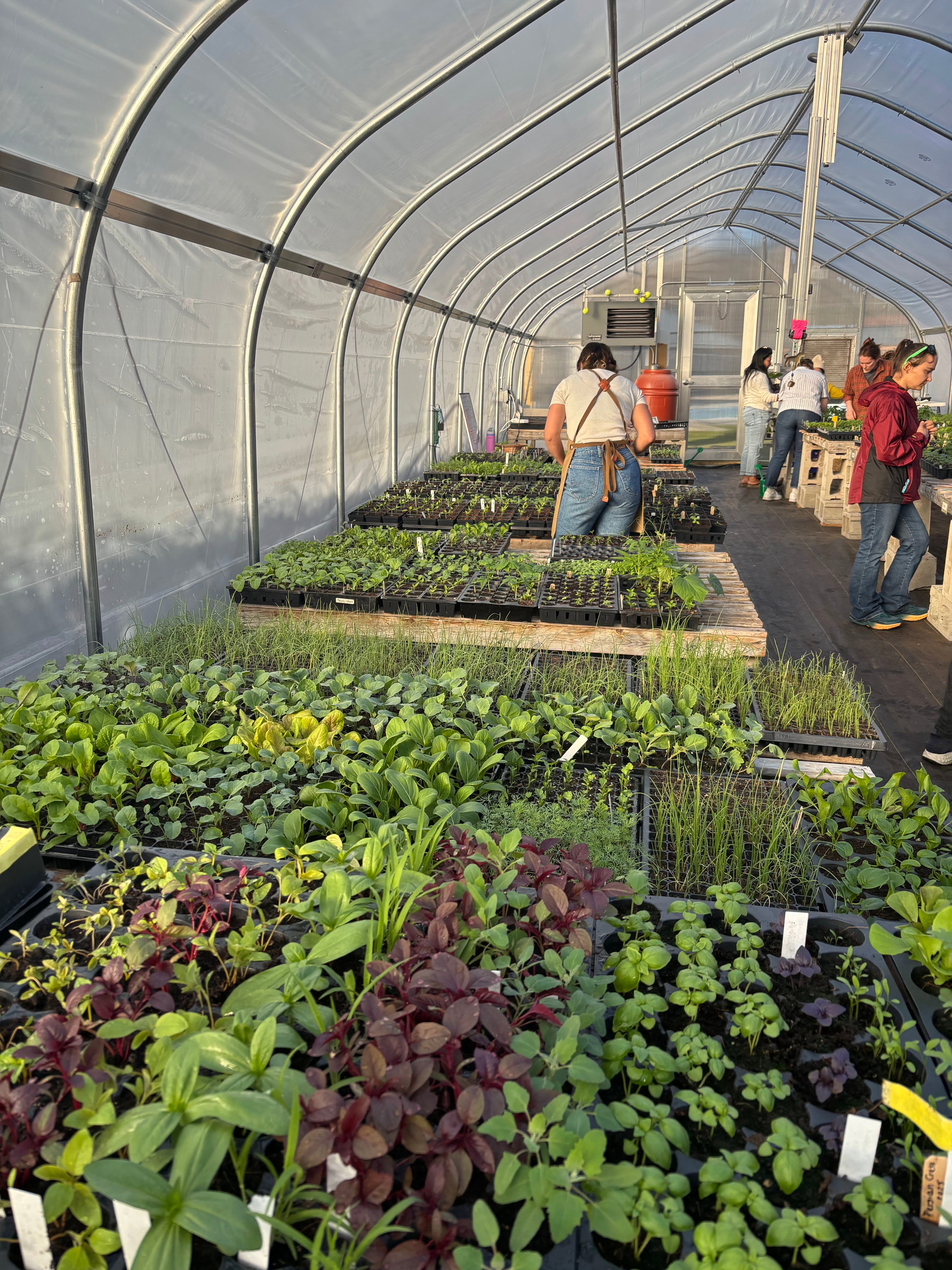 Vermont Garden Network