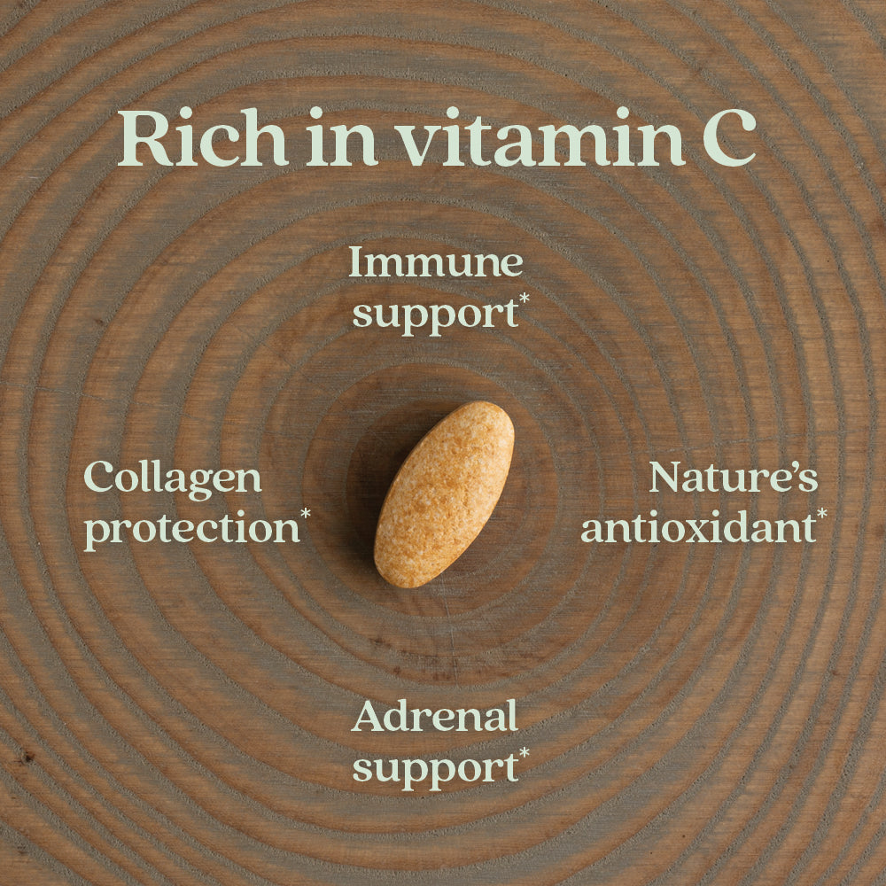 Fermented Vitamin C Supplement