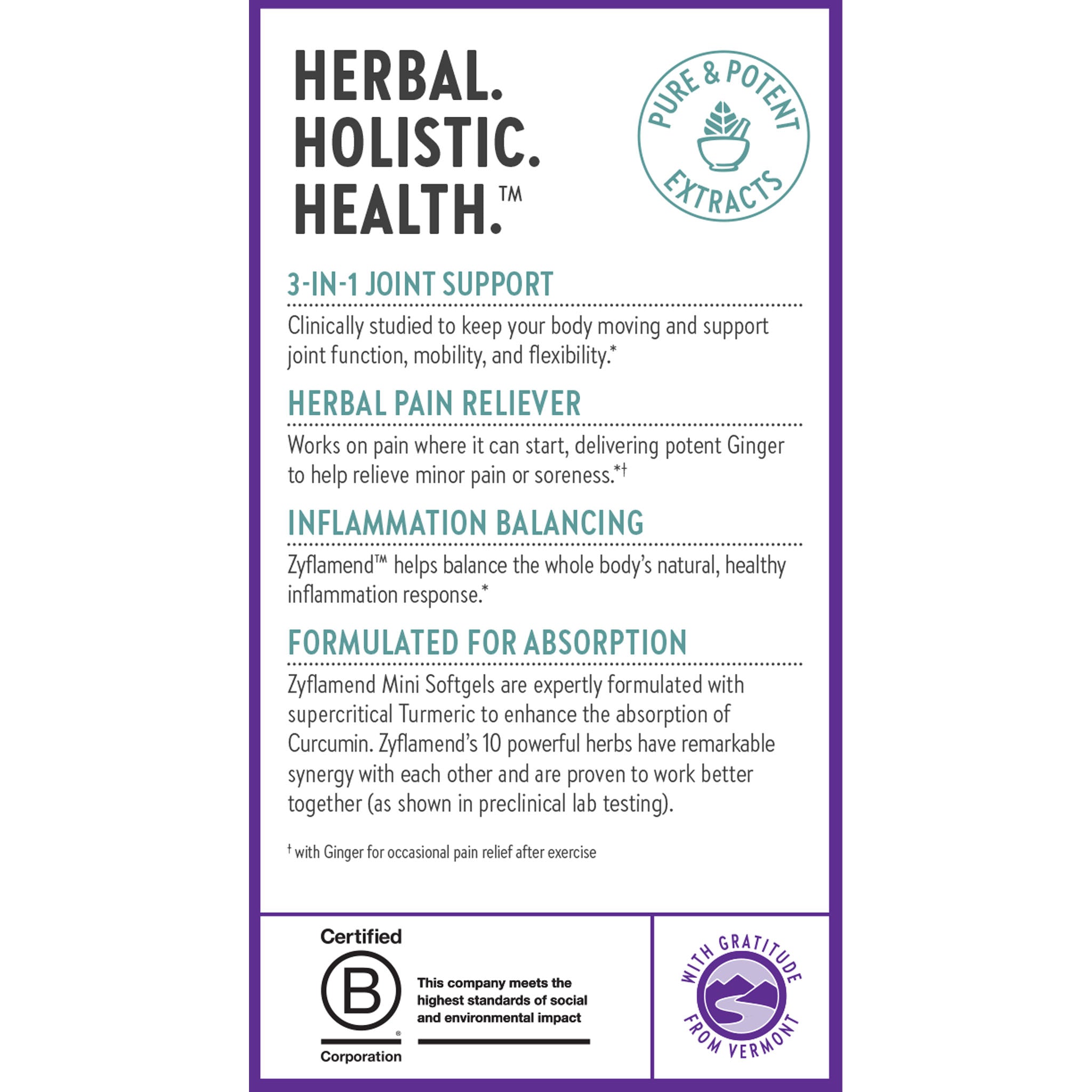 Herbal. Holistic. Health. 3-in-1 Joint Support, Herbal pain Reliever, Inflammation Balancing, Formulated for Absorption