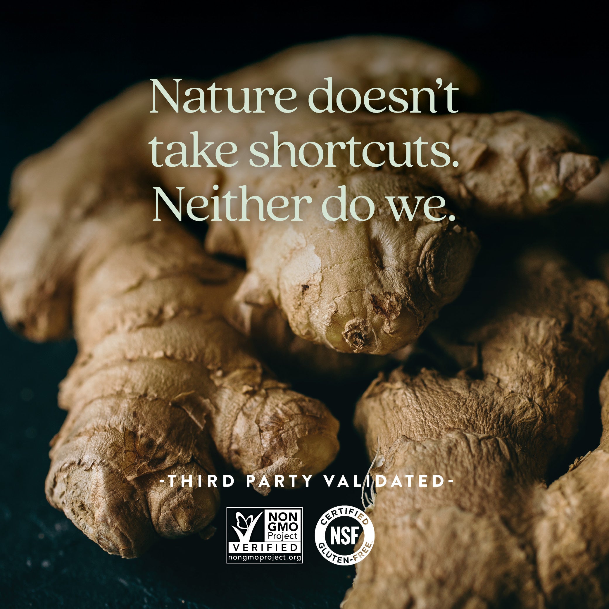 Non-GMO Project Verified, Certified NSF Gluten-Free