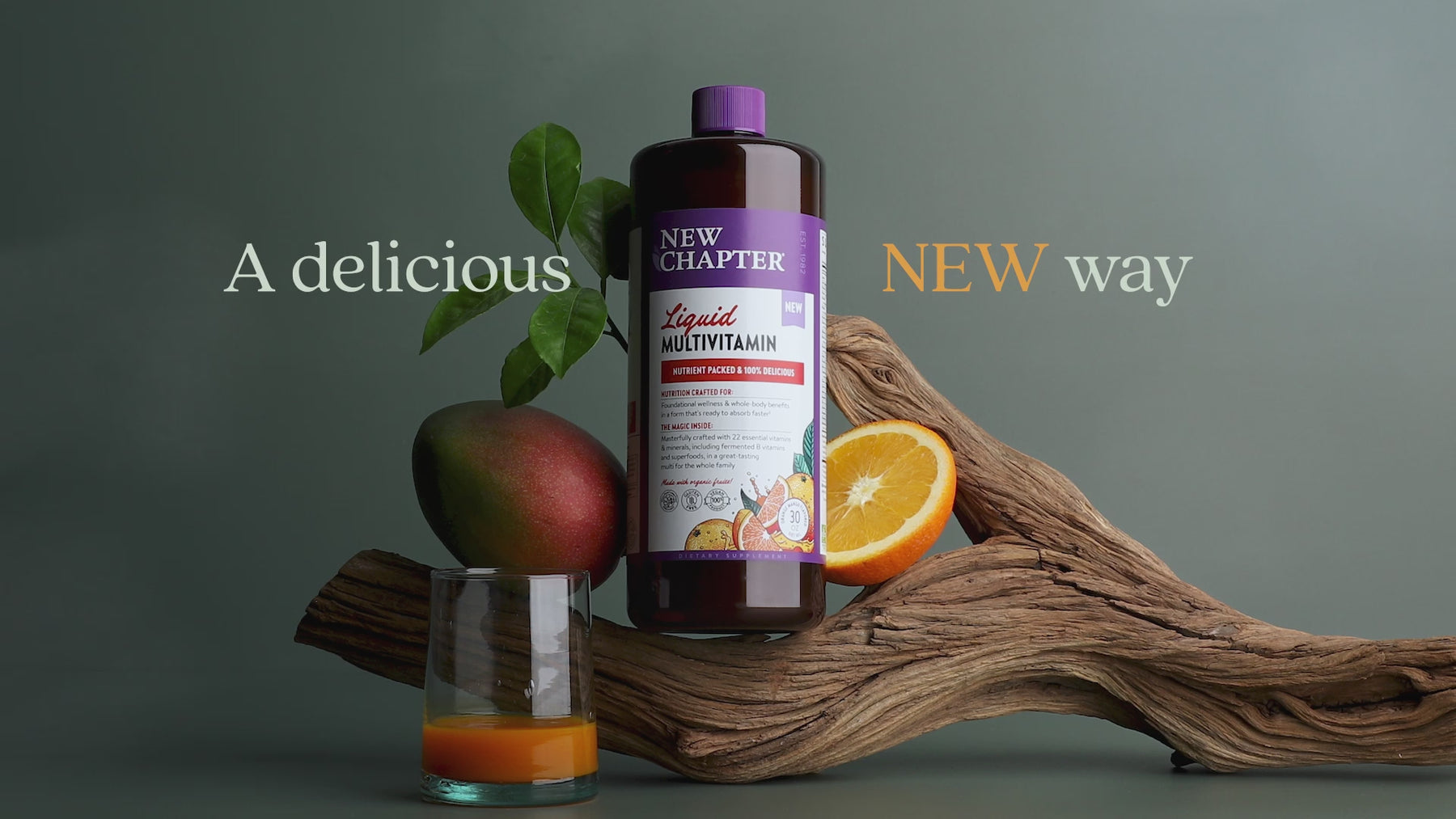 Liquid Multivitamin for Adults & Kids | New Chapter